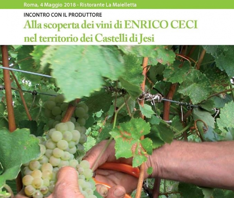 Alla scoperta dei Vini di Enrico Ceci